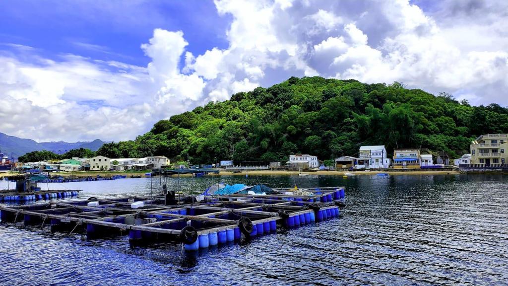 香港好去處 親親大自然 體驗南丫島風情 玩盡漁民文化村 蚊摸海星餵魔鬼魚 香港人遊香港